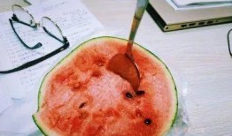 吃瓜网红事件和田,田成与网络舆论的漩涡