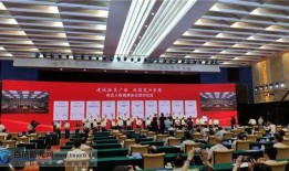 黑哥爆料现场直播视频回放,现场直播视频回放精彩瞬间大盘点