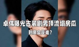 娱乐圈大瓜的爆料是什么,揭秘明星背后的惊人真相