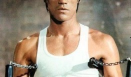 精武门李小龙在线观看,李小龙传奇武术之旅在线观看指南