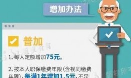 深圳新闻头条爆料,惊曝重大事件，详情即将揭晓！